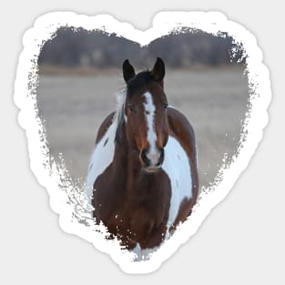 I Love Horses Sticker